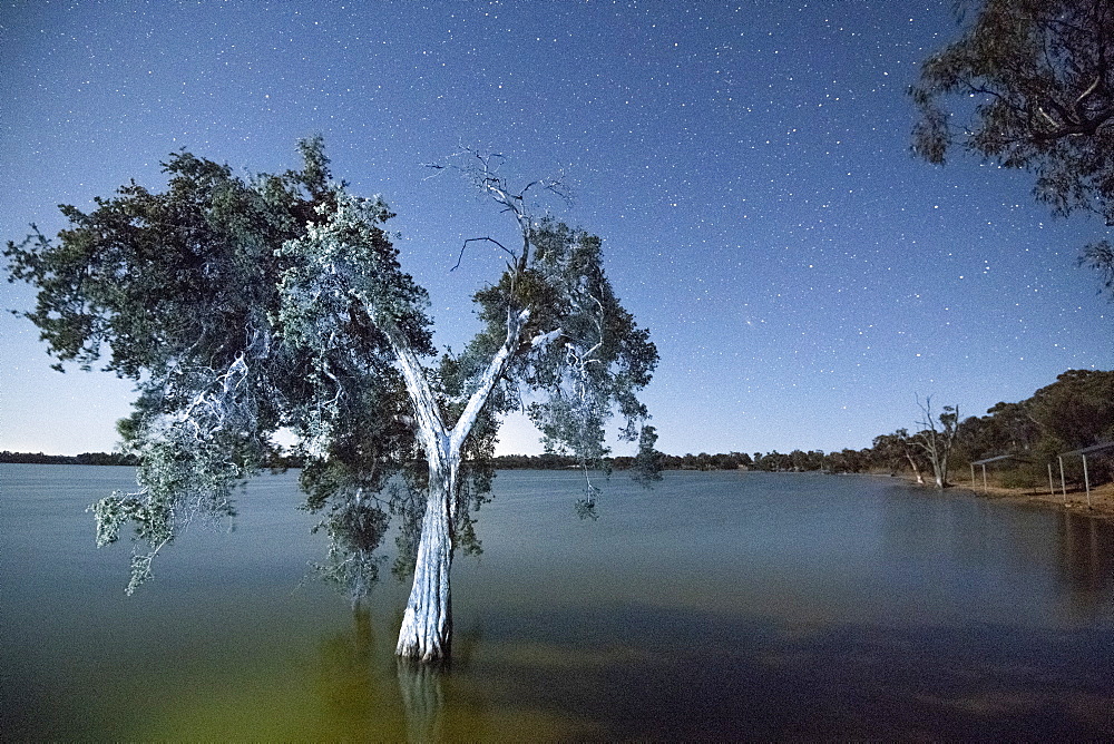 Lake Towerrinning, near Darkan, Western Australia, Australia, Pacific