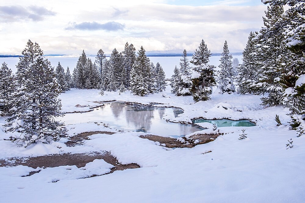 Snowscape of thermal feature with reflection, Yellowstone National Park, UNESCO World Heritage Site, Wyoming, United States of America, North America