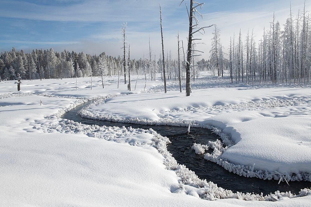 Snowscape with stream and trees, Yellowstone National Park, UNESCO World Heritage Site, Wyoming, United States of America, North America