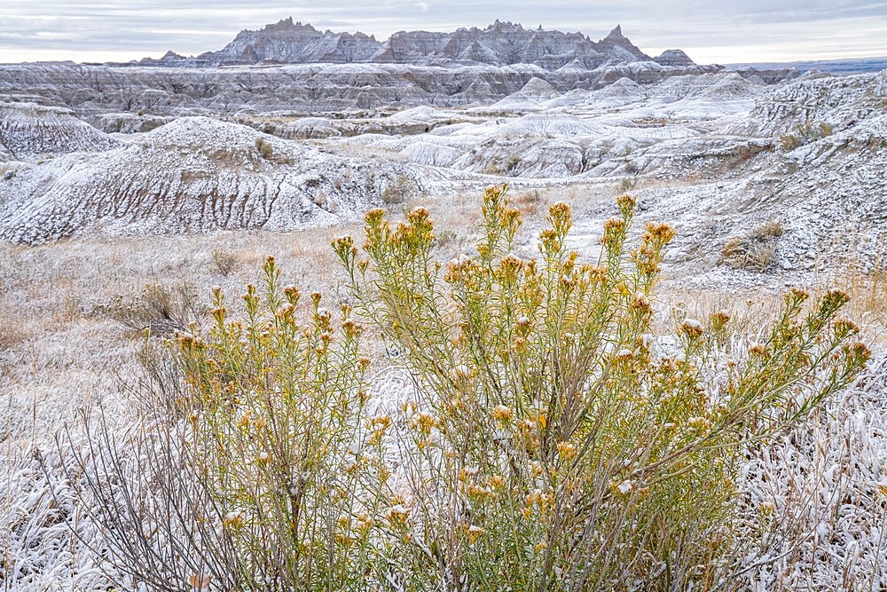 Winter scene in the Badlands, Badlands National Park, South Dakota, United States of America, North America