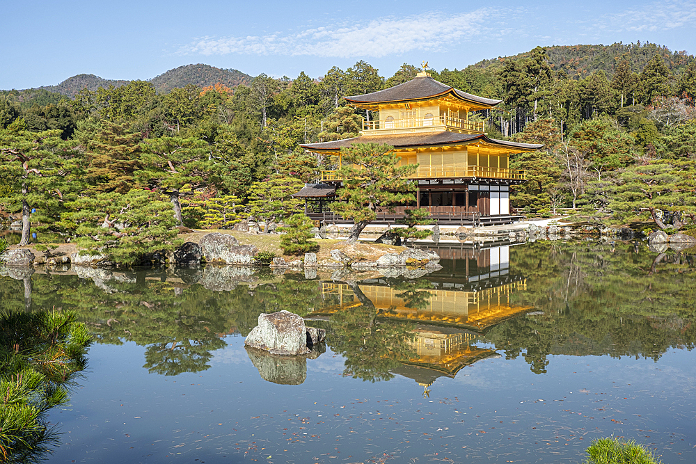 Kinkaku-ji Golden Pavilion Temple reflected in a pond in autumn, UNESCO World Heritage Site, Kyoto, Honshu, Japan, Asia