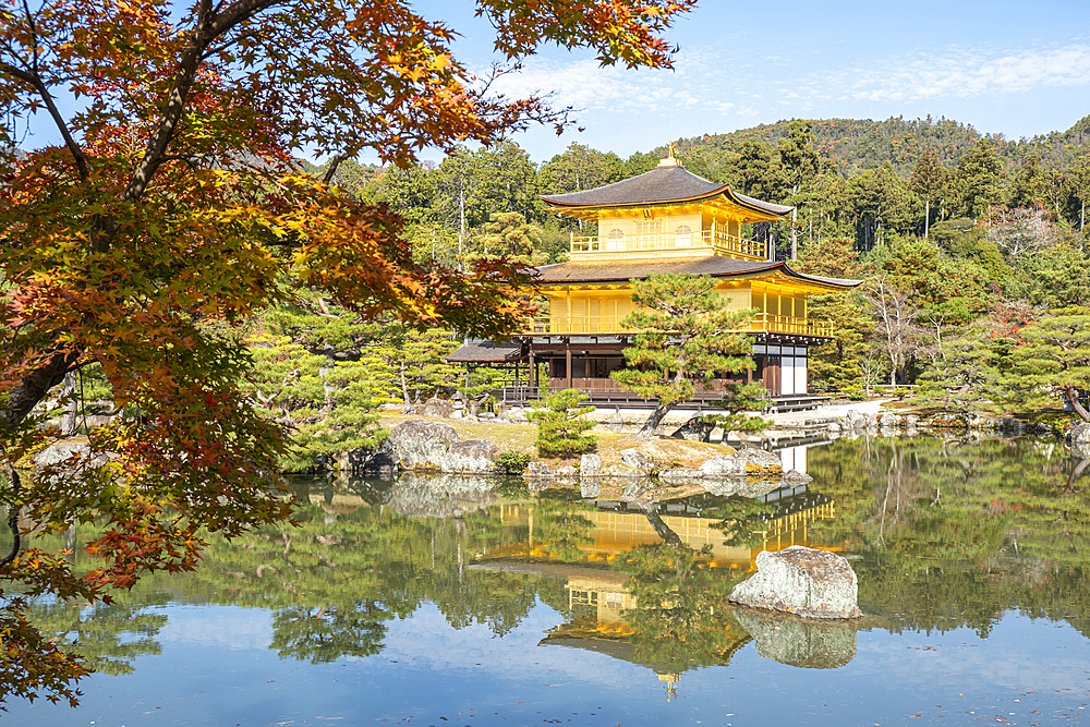 Kinkaku-ji Golden Pavilion Temple reflected in a pond in autumn, UNESCO World Heritage Site, Kyoto, Honshu, Japan, Asia