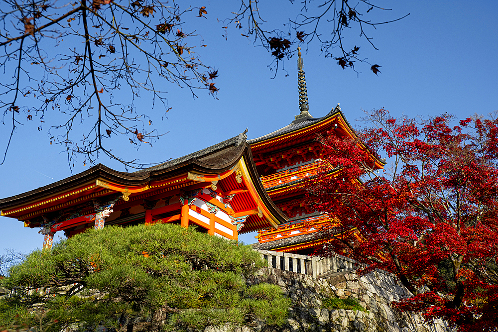 Kiyomizu-dera Buddhist Temple complex and pagoda in Kyoto, UNESCO World Heritage Site, Honshu, Japan, Asia