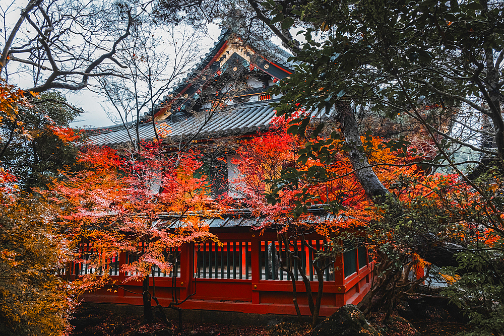 Bishamon-do Buddhist temple with autumn colors, Kyoto, Honshu, Japan, Asia