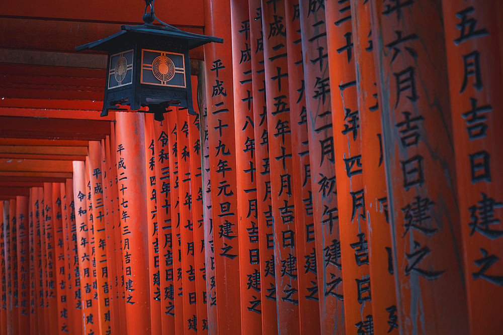 The red Torii Gates at Fushimi Inari Taisha shrine in Kyoto, Honshu, Japan, Asia