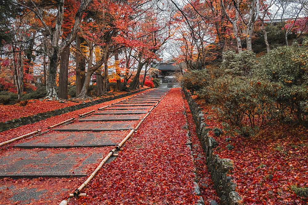 Autumn colors at Bishamon-do Buddhist temple in Kyoto, Honshu, Japan, Asia