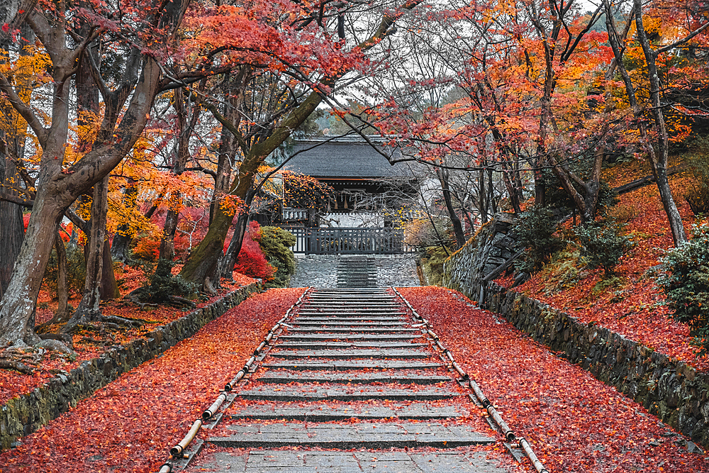 Autumn colors at Bishamon-do Buddhist temple in Kyoto, Honshu, Japan, Asia