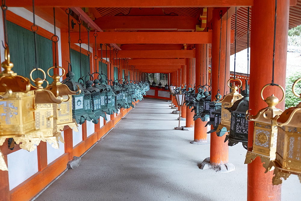 Two rows of lanterns in vibrant golden and green colors hang gracefully from a portico of a temple in Nara, Honshu, Japan, Asia