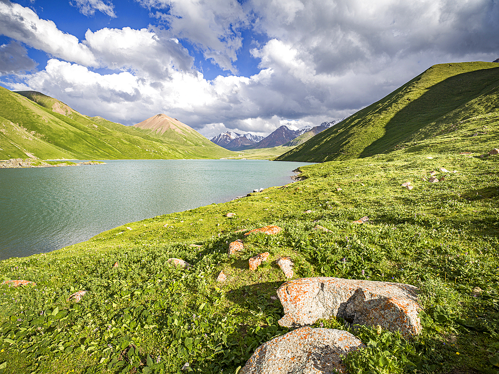 Tranquil Kol Ukok Lake surrounded by green mountains under a blue sky, Kyrgyzstan, Central Asia, Asia