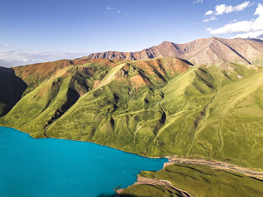 Aerial view of Kol Ukok Lake surrounded by green mountains under a blue sky, Kyrgyzstan, Central Asia, Asia