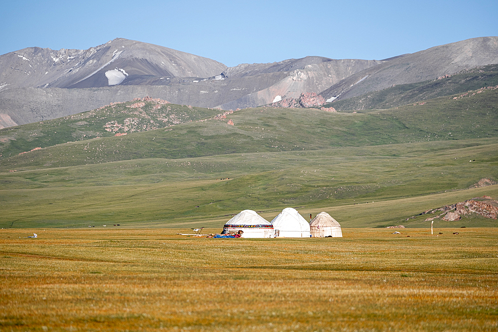 Traditional yurts in the Song-Kol lake area under a clear blue sky in summer, Kyrgyzstan, Central Asia, Asia