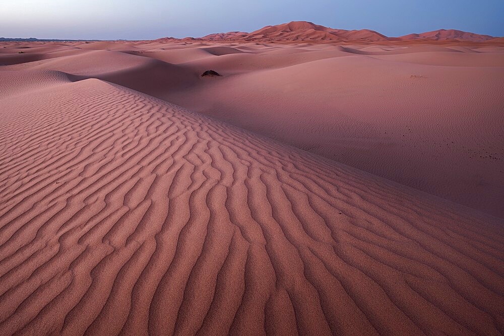 Blue hour on the Sahara Desert sand dune patterns, Erg Chebbi, Merzouga, Morocco, North Africa, Africa