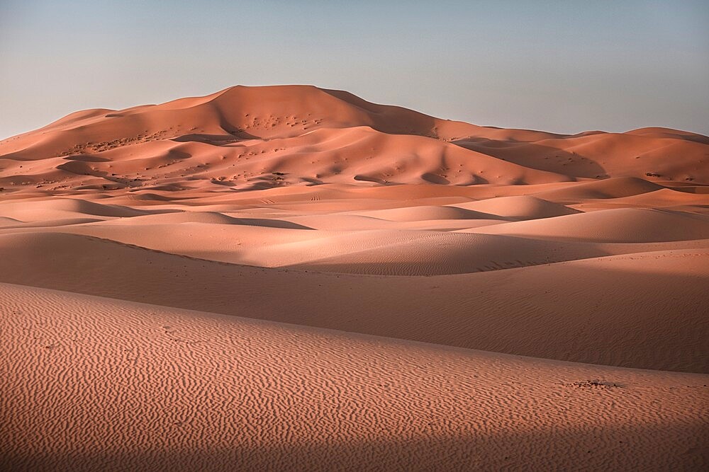 Sand dunes at sunrise in Sahara Desert, Merzouga, Morocco, North Africa, Africa