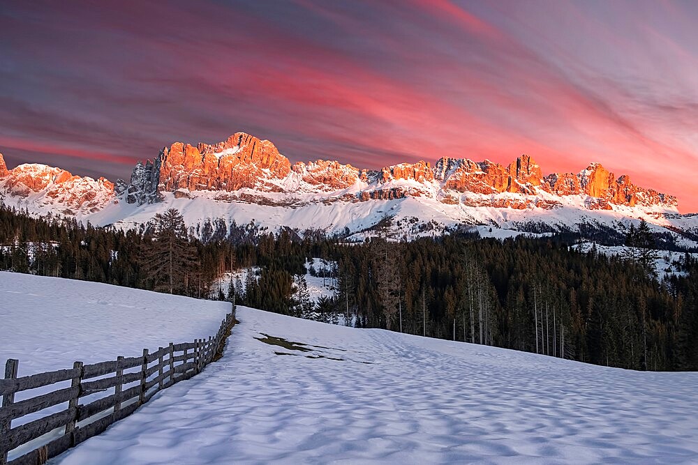 Winter pink sunset named enrosadira on Catinaccio mountain with snow and a wooden fence, Carezza, Bolzano, Italy, Europe