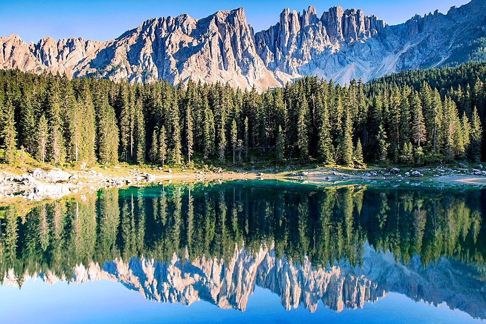 Latermar and larch forest reflected in the Carezza Lake at sunset, Carezza, Trentino-Alto Adige, Italy, Europe