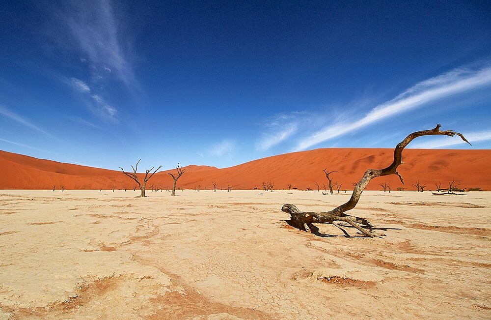 Deadvlei, near Sossusvlei, a dry lake with dead trees in the desert made of red sand dunes, Namib Desert, Namibia, Africa