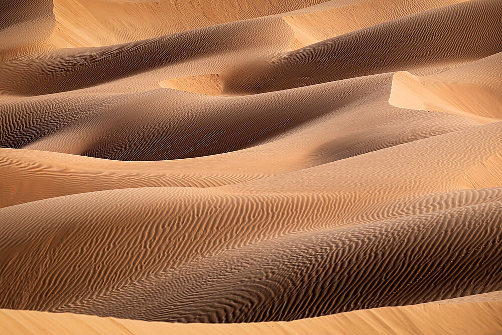 Sand dunes detail in the Rub al Khali desert, Oman, Middle East