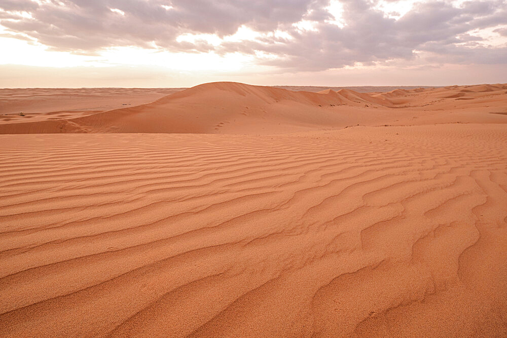 Sand dunes at sunset in the Wahiba Sands desert, Oman, Middle East