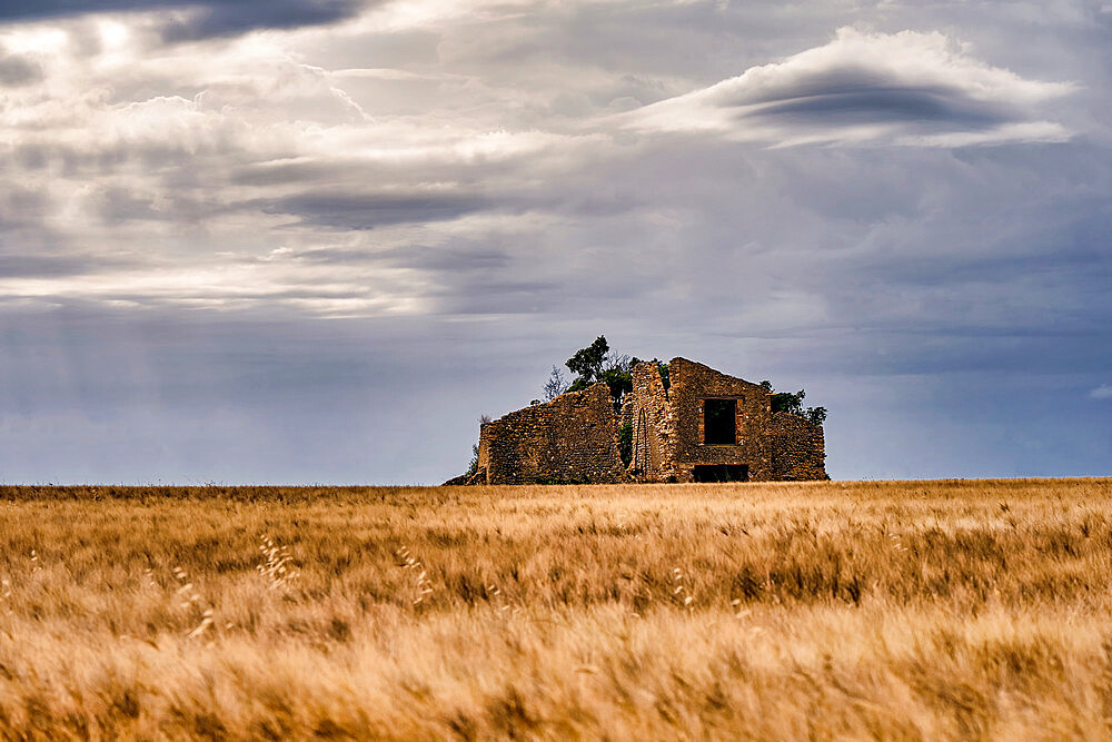 Ruins in a wheat field with cloudy sky, Valensole, Provence, France, Europe