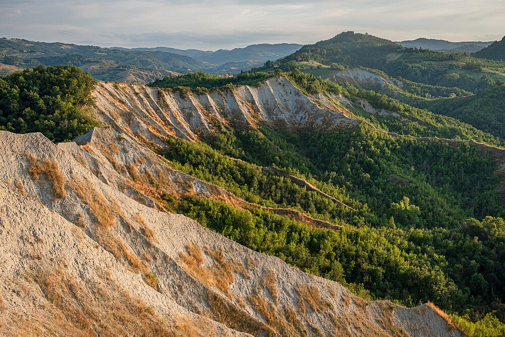 Badlands amphitheater with lush hills, Emilia Romagna, Italy, Europe