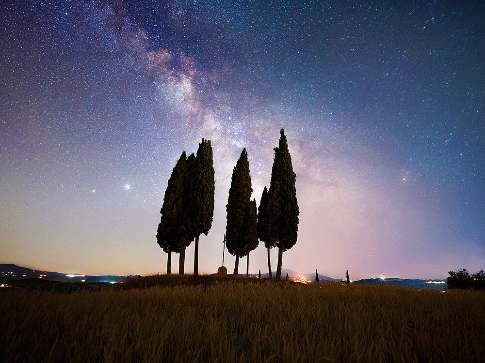 Milky way above a group of cypresses, Val d'Orcia, Tuscany, Italy, Europe