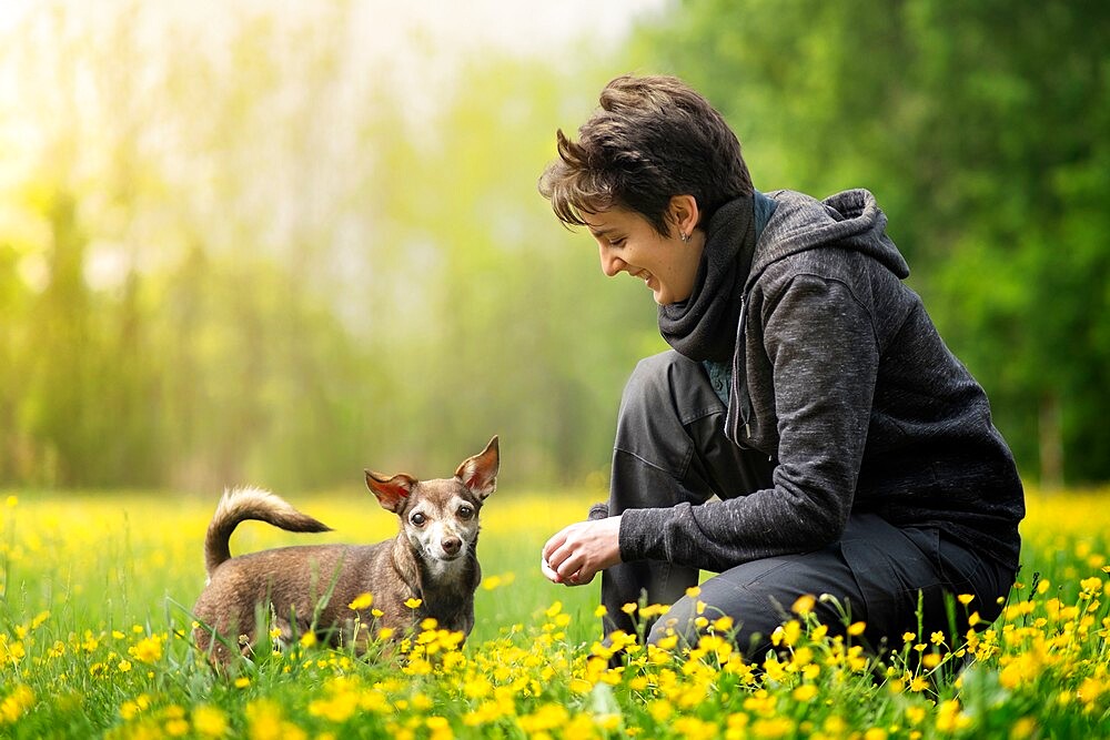 Small dog and his owner crouched in a field full of yellow flowers, Italy, Europe