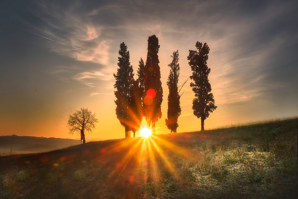 Sunrise behind a group of cypress trees with a sunburst filtering through them, Italy, Europe