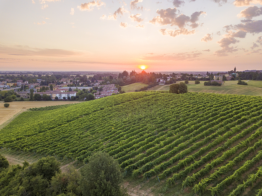 Aerial view of Italian vineyards with the sun rising on the horizon, Emilia-Romagna, Italy, Europe