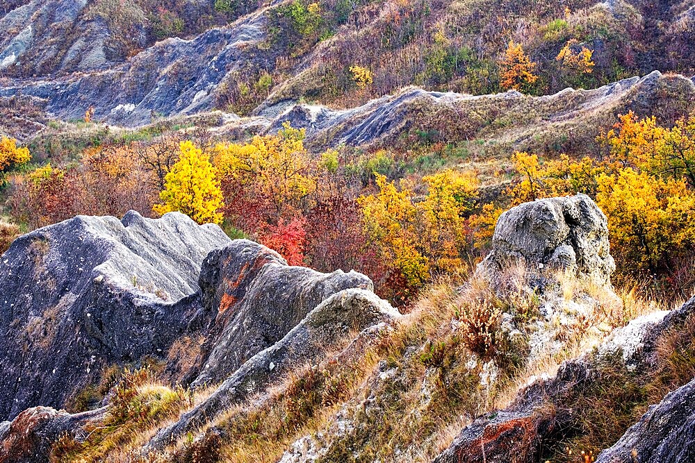 Autumn colors on badlands, Emilia Romagna, Italy, Europe