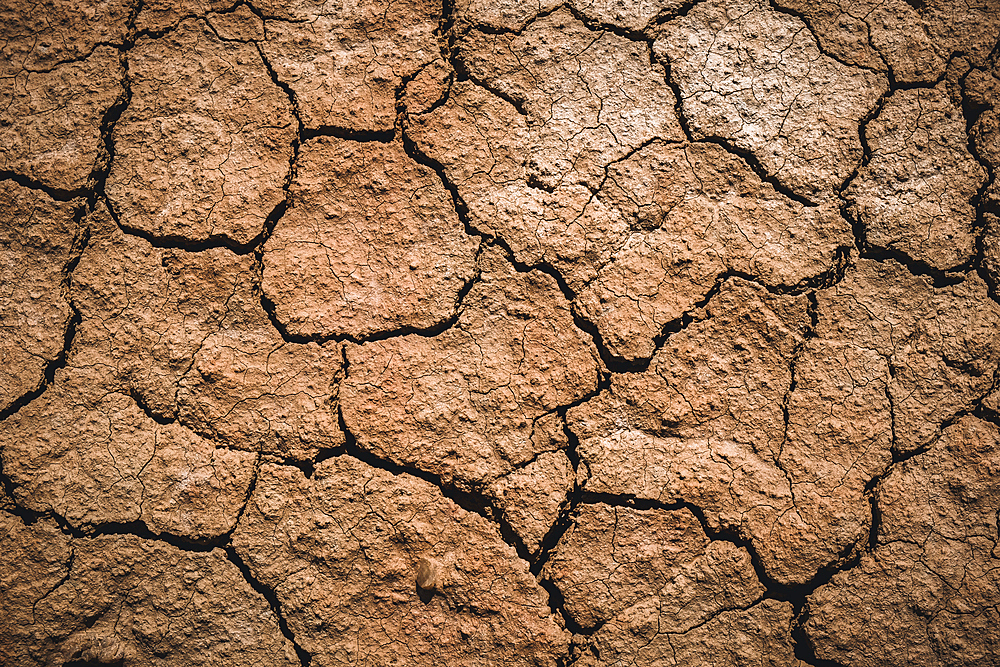 Textures on the cracked, dry ground