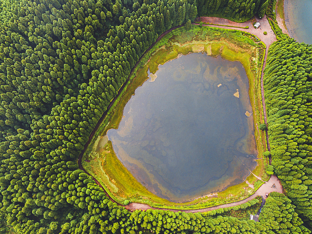 Aerial view of Lagoa Empadadas lake and some pine trees, Sao Miguel island, Azores islands, Portugal, Atlantic, Europe