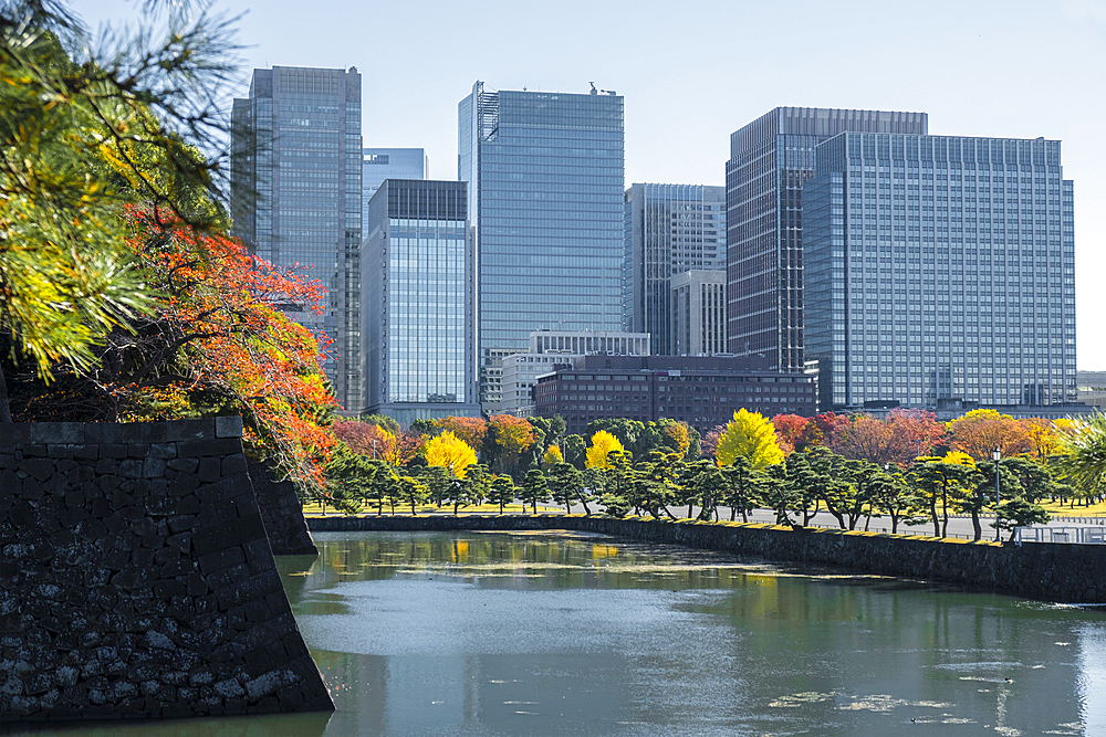 Tokyo skyscrapers reflected in the imperial palace moat with many autumn colored trees, Tokyo, Honshu, Japan, Asia