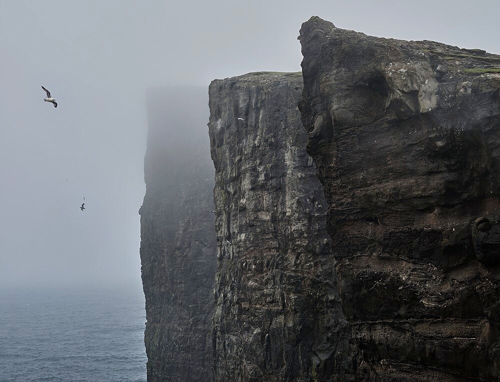 Cliffs of Traelanipa above the ocean, Faroe Islands, Denmark, Europe