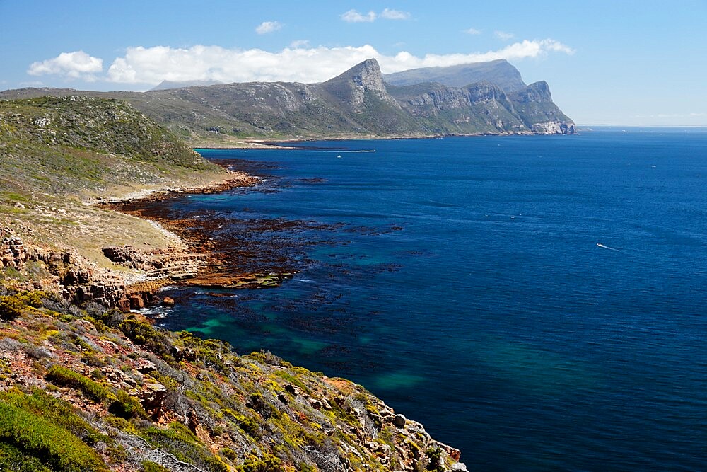 Cape Point Nature Reserve, False Bay, Western Cape, South Africa, Africa