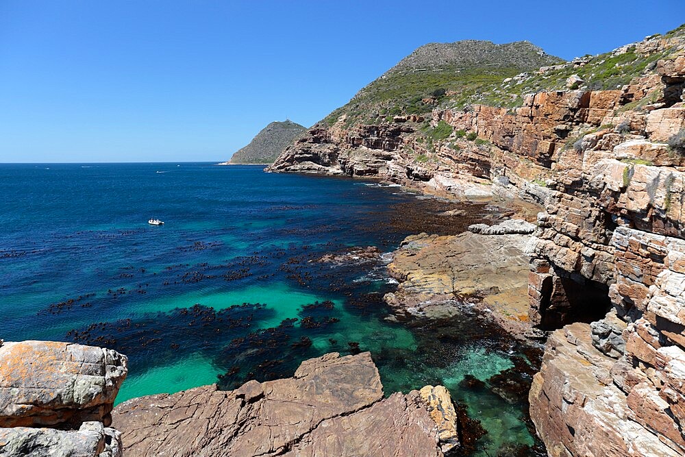 Cape Point Nature Reserve, False Bay, Western Cape, South Africa, Africa