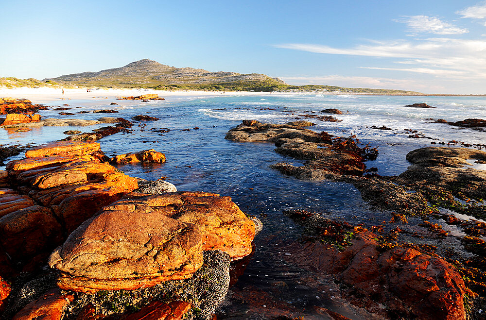 Scarborough Beach, Cape Penisula, near Cape Town, South Africa, Africa