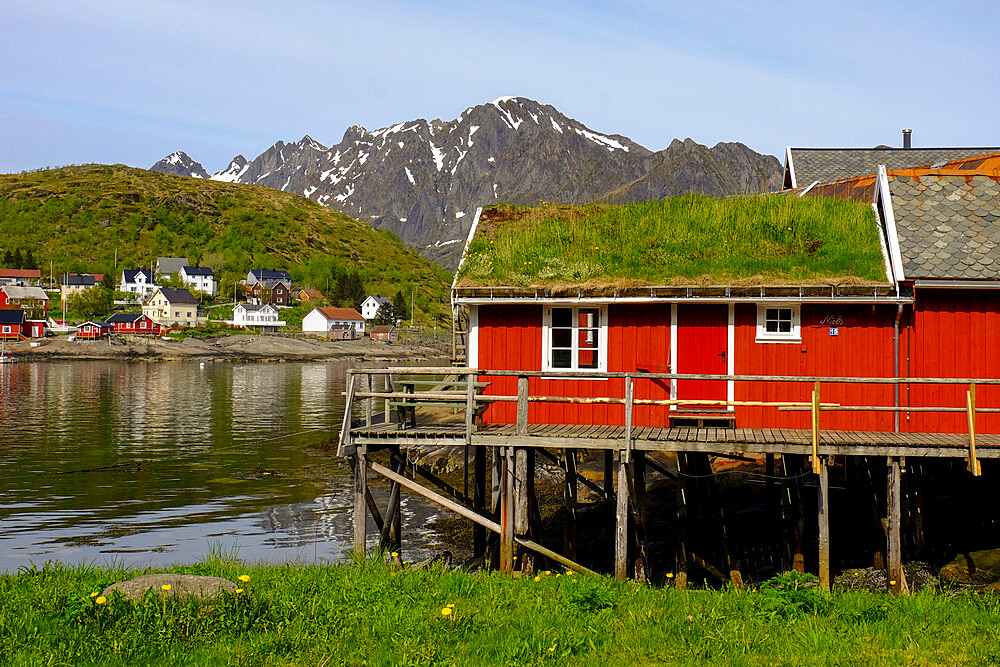 Traditional turf roofs and red buildings in the charming cod fishing village of Reine, Lofoten Islands, Nordland, Norway, Scandinavia, Europe