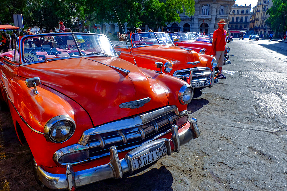 Classic vintage cars as taxis lined up awaiting fares, Havana, Cuba, West Indies, Central America