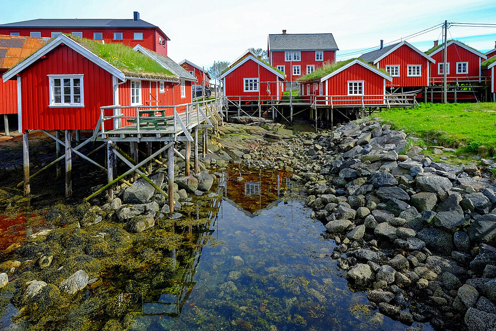 Red buildings grace the shoreline in the cod fishing village of Reine, Lofoten Islands, Nordland, Norway, Scandinavia, Europe