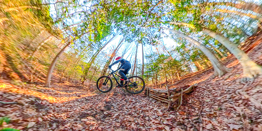 A mountain biker rides off a homemade jump in the woods near Cabin John, Maryland, United States of America, North America