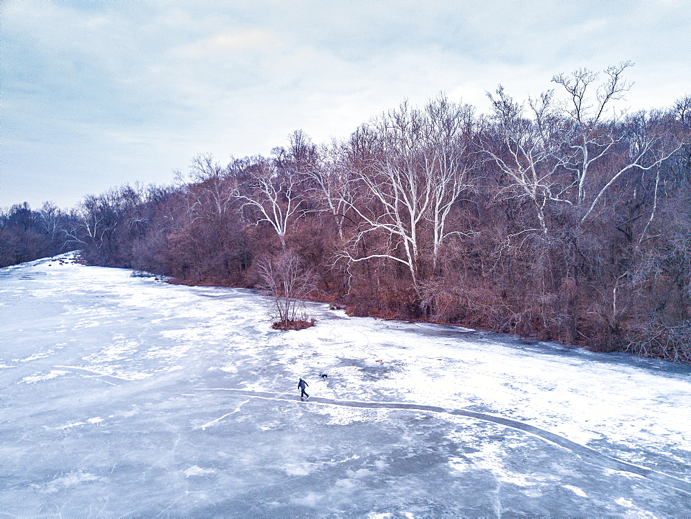 A man and his dog ice skates on a path across frozen pond in winter, Maryland, United States of America, North America