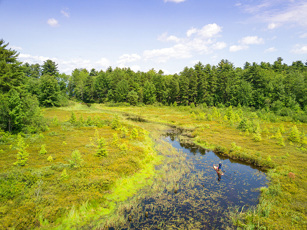 Stand up paddle boarder and daughter cruise through a fresh water marsh near Sebago Lake, Maine, United States of America, North America