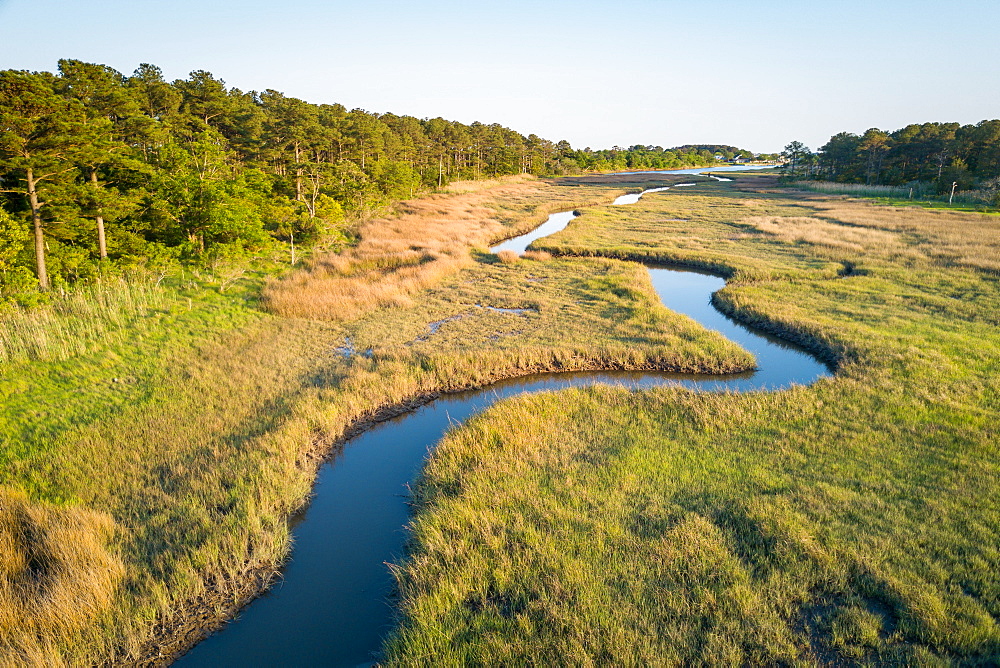 Winding creek through Chesapeake Bay salt water marsh near Hampton, Virginia, United States of America, North America