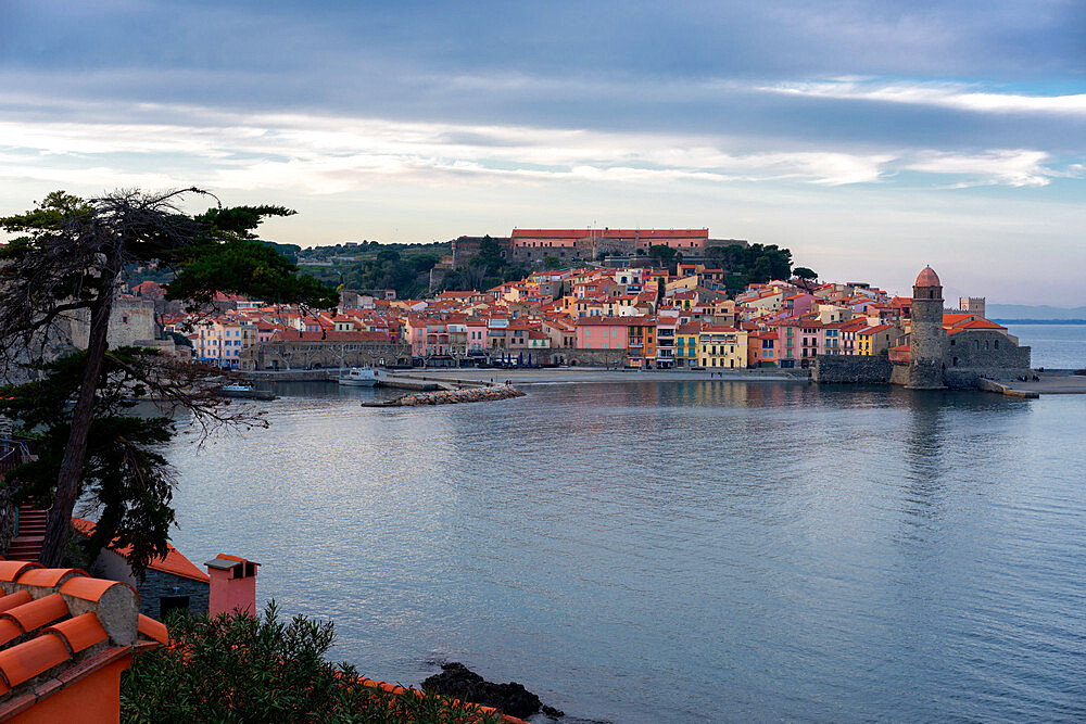 Traditional colorful medieval village at sunset, Collioure, Pyrenees Orientales, France, Europe