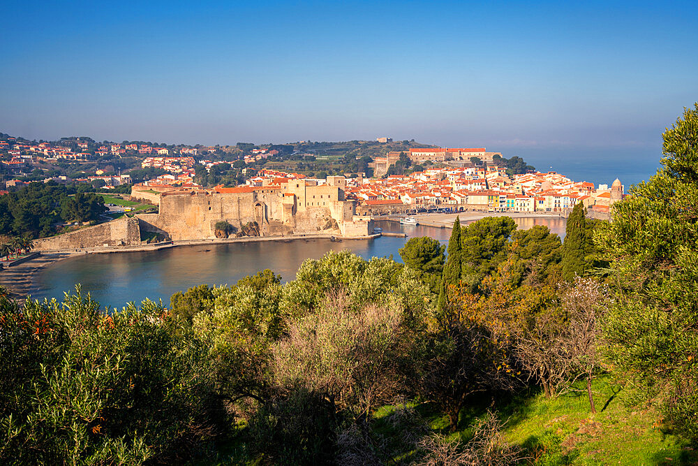 Traditional colorful medieval village at sunset, Collioure, Pyrenees Orientales, France, Europe