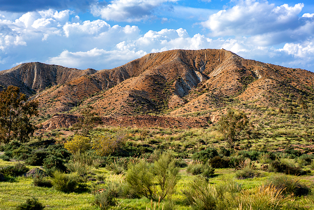 Tabernas desert landscape on a sunny day, Almeria, Andalusia, Spain, Europe