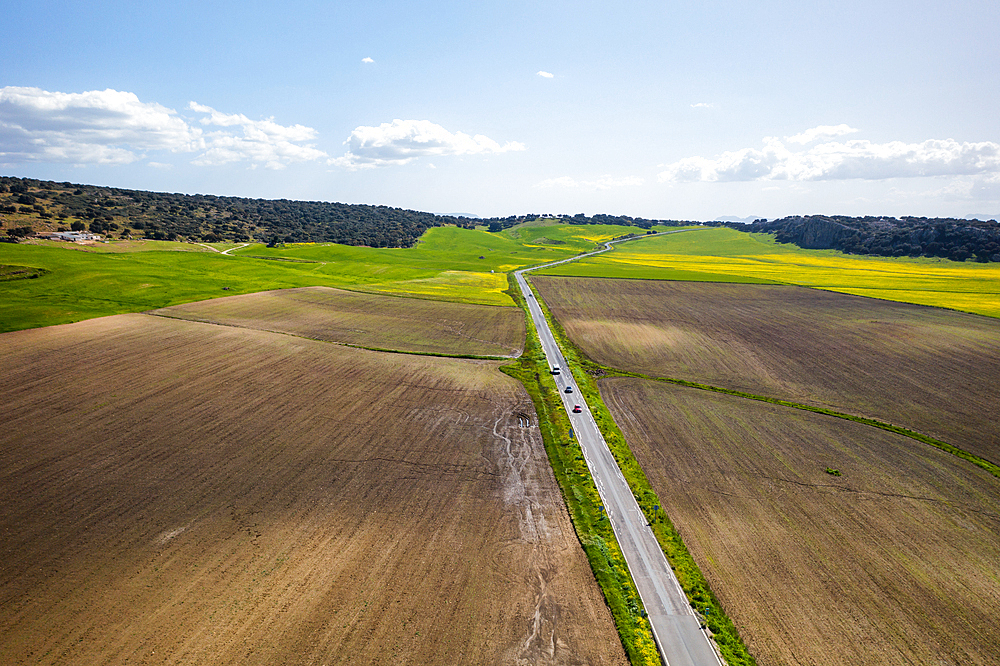 Drone aerial view of a road in a landscape with yellow flowers, Spain, Europe