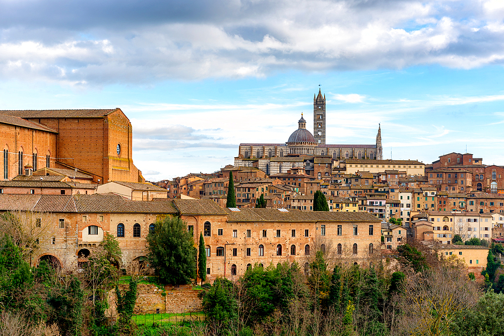 Siena city view with San Domenico basilica and cathedral at sunset in Tuscany, Italy