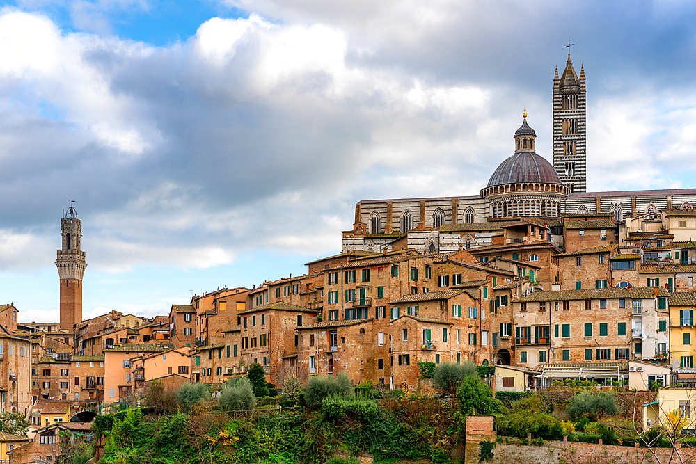 Siena city view with Mangia Tower and Cathedral at sunset, Siena, UNESCO World Heritage Site, Tuscany, Italy, Europe