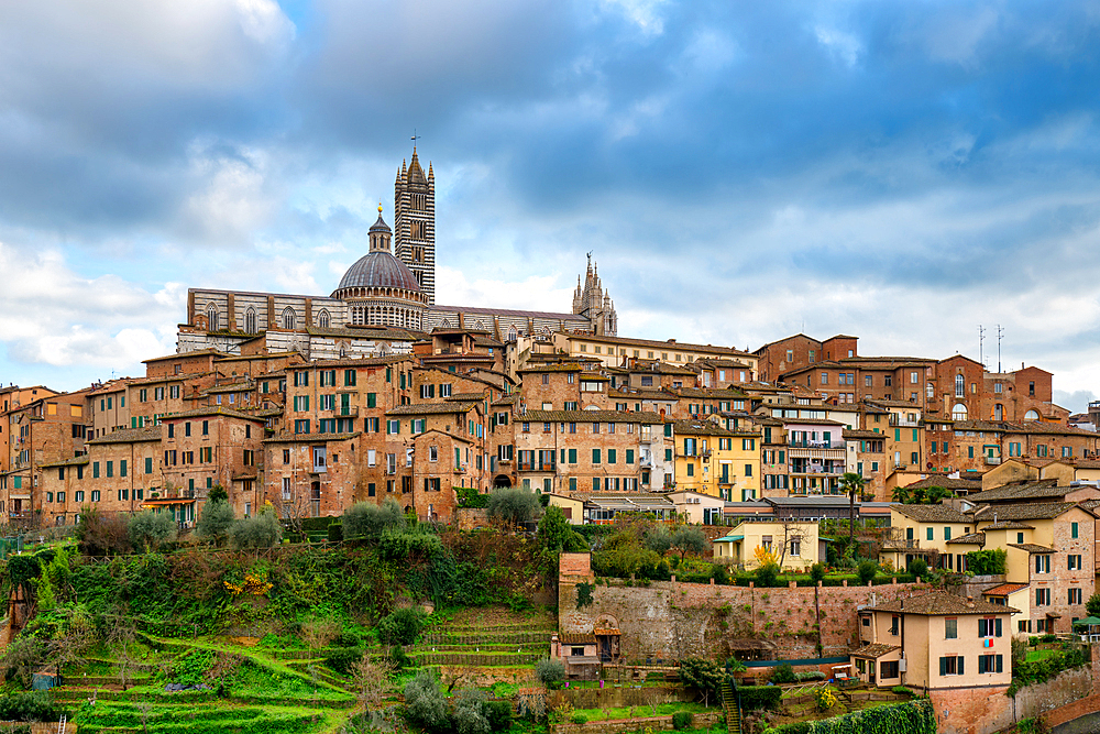 Siena city view with traditional Tuscany buildings with Cathedral on the top at sunset, in Italy